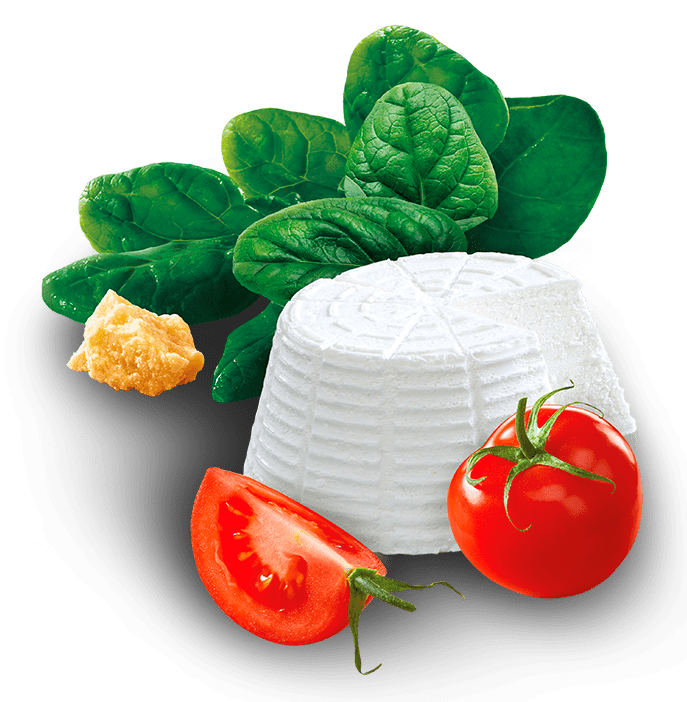 cannelloni_ricotta_spinaci-min ricotta e spinaci